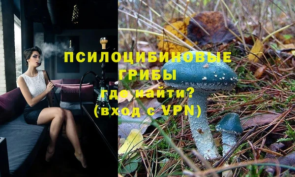 дмт Баксан