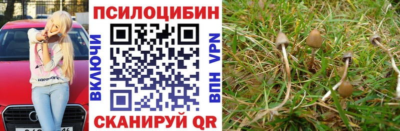 Псилоцибиновые грибы прущие грибы  площадка Telegram  Урус-Мартан 